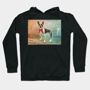 Portrait of Meryl the Boston Terrier Hoodie